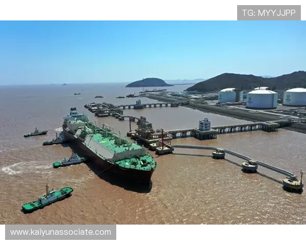 开云网中国：开云集团在中国市场的数字化转型与未来发展方向分析