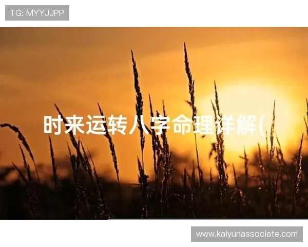 开运卜卦占卜指南帮助你把握未来机遇