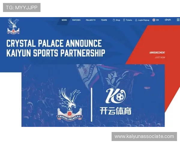 新手必读：开云体育官网入口网页的游戏规则与策略指南